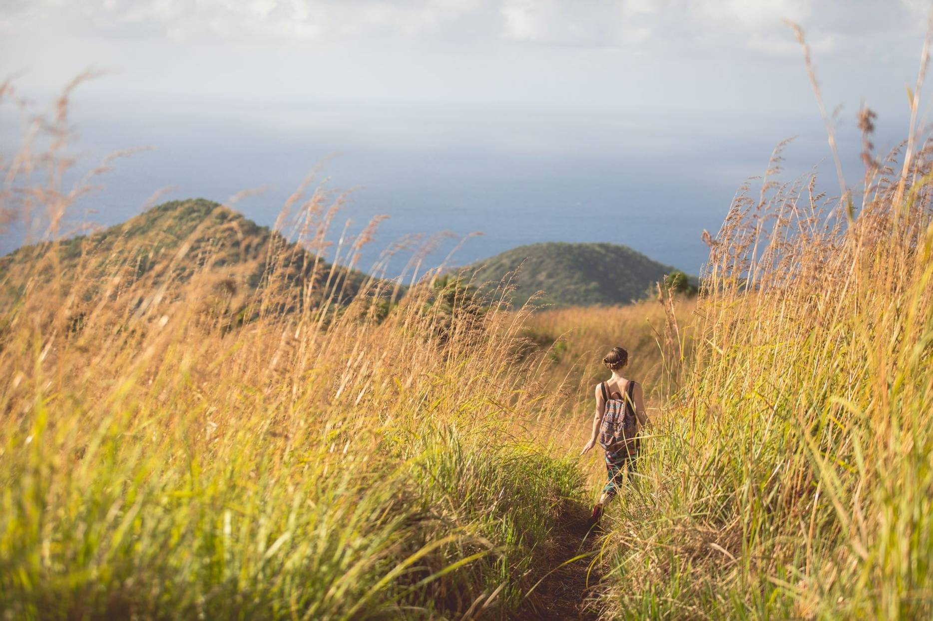 Carlisle Bay hiking
